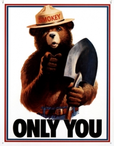 D834smokey-bear-only-you-posters