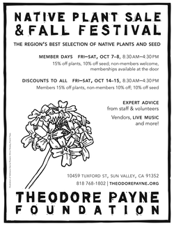 Fall_festival_flyer_2011_FINAL