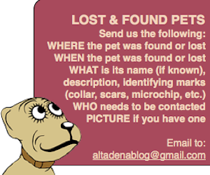 PetFindBug2