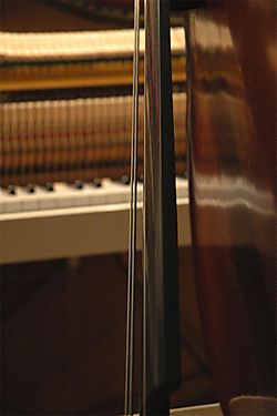 Stringbass