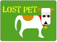 Lostpet200