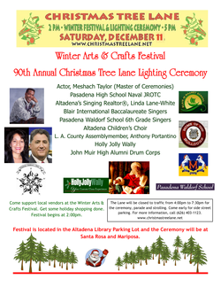 CTLA Lighting Ceremony & Festival Flyer 2010