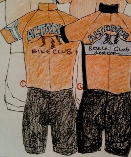 Bikejersey