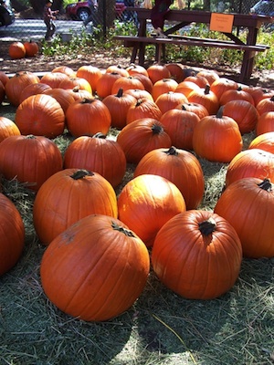 Pumpkins