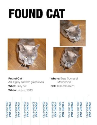 Found cat-1