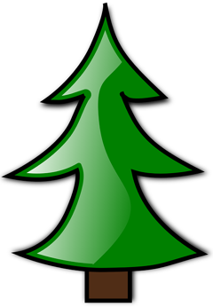 Tree fir